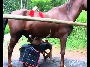 Horse fuck my tight ass