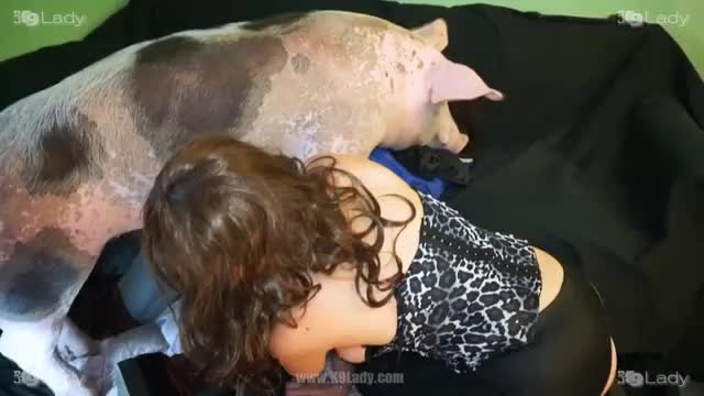 Woman pig fucks Big pig